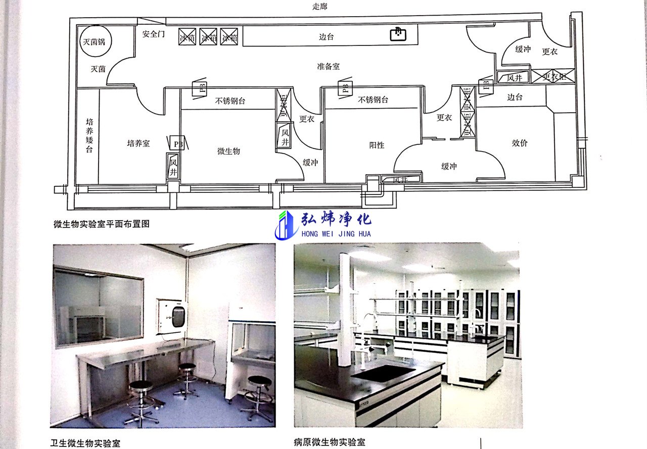 微生物实验室